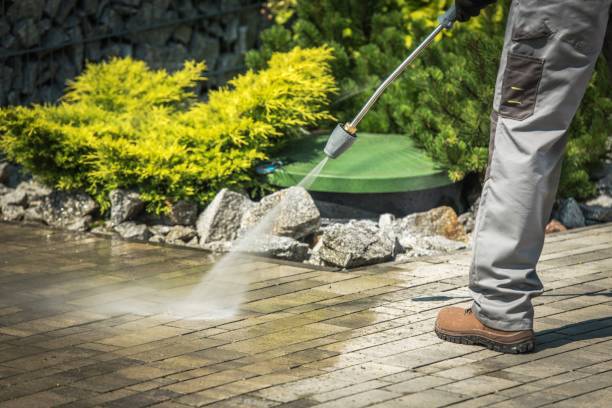 Best Winterizing Services  in Farmingville, NY